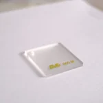 IMG-20250121-WA0053